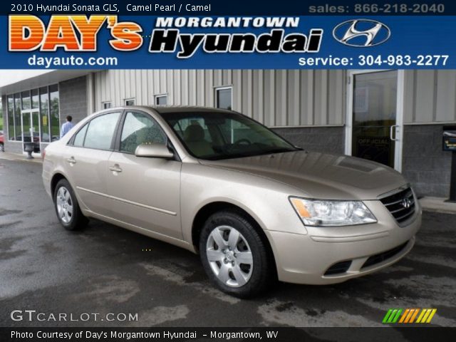 2010 Hyundai Sonata GLS in Camel Pearl