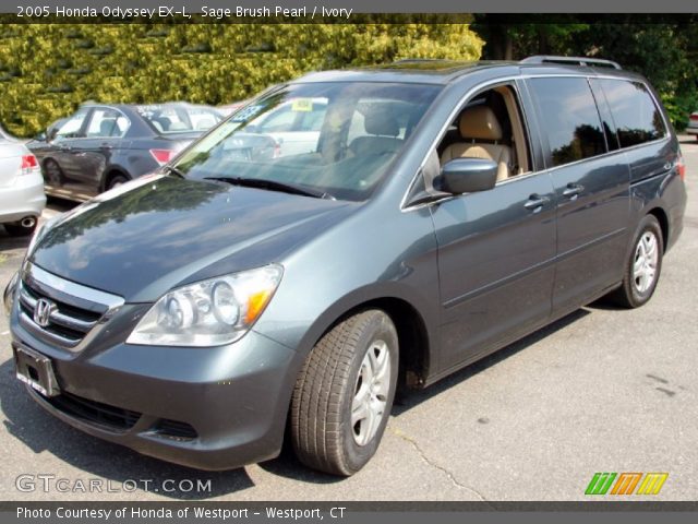 2005 Honda Odyssey EX-L in Sage Brush Pearl