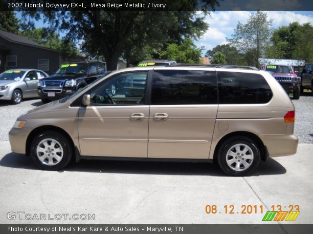 2002 Honda Odyssey EX-L in Mesa Beige Metallic