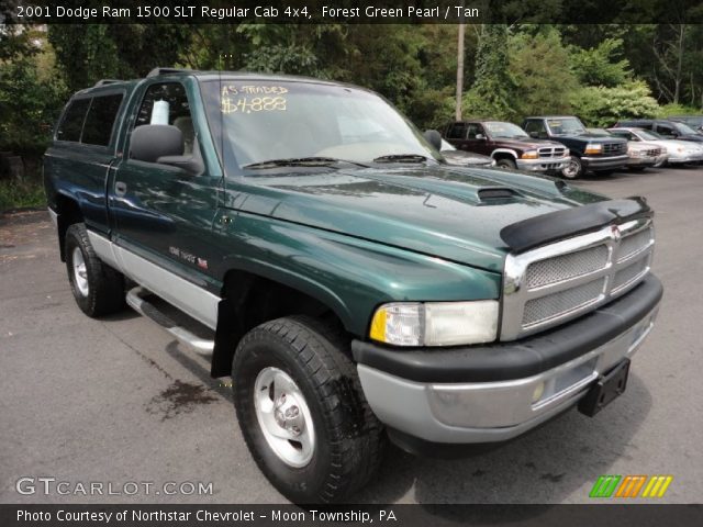 2001 Dodge Ram 1500 SLT Regular Cab 4x4 in Forest Green Pearl