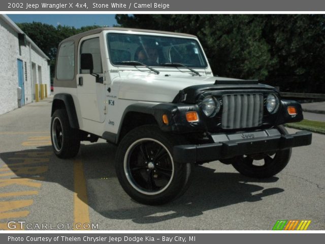 2002 Jeep Wrangler X 4x4 in Stone White