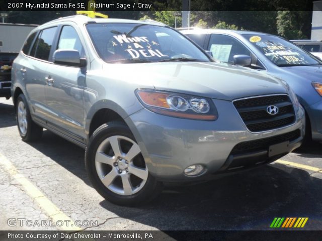 2007 Hyundai Santa Fe SE in Platinum Sage