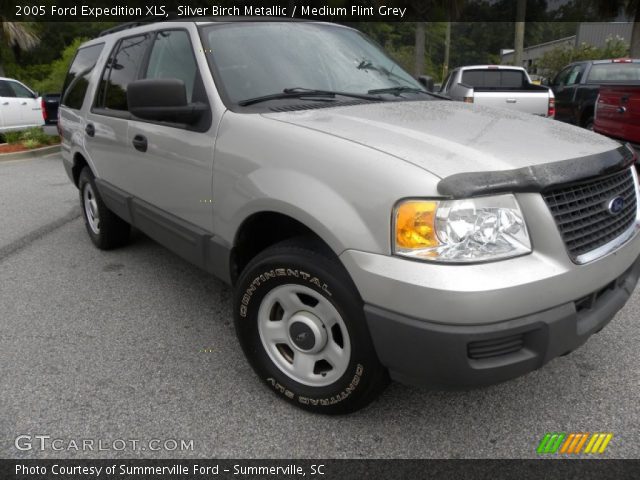 2005 Ford Expedition XLS in Silver Birch Metallic