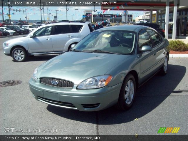 2005 Ford Taurus SEL in Light Tundra Metallic
