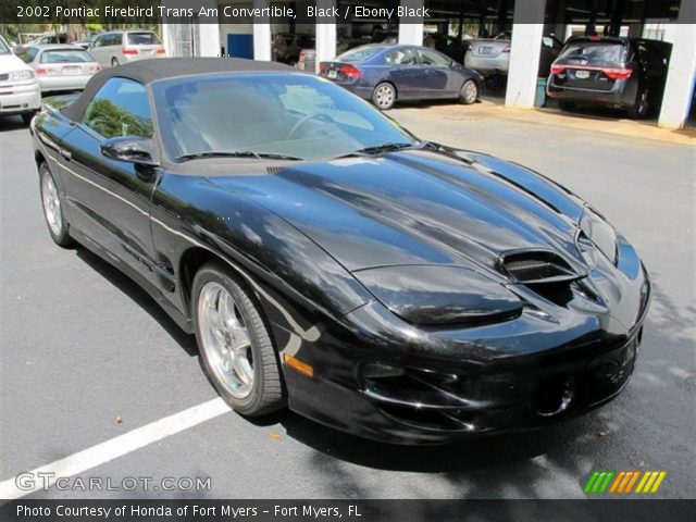 2002 Pontiac Firebird Trans Am Convertible in Black