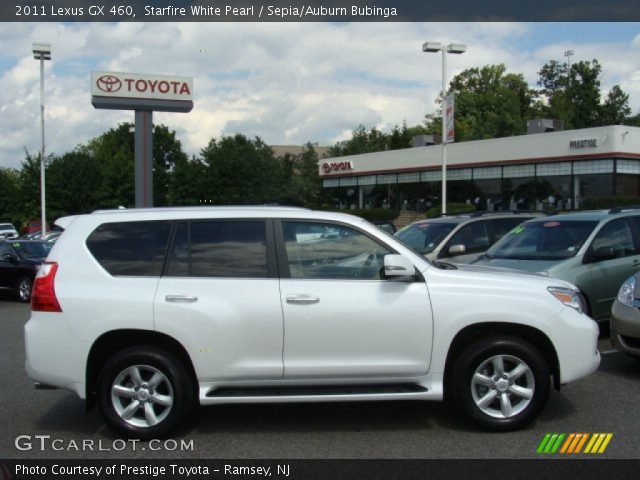 2011 Lexus GX 460 in Starfire White Pearl