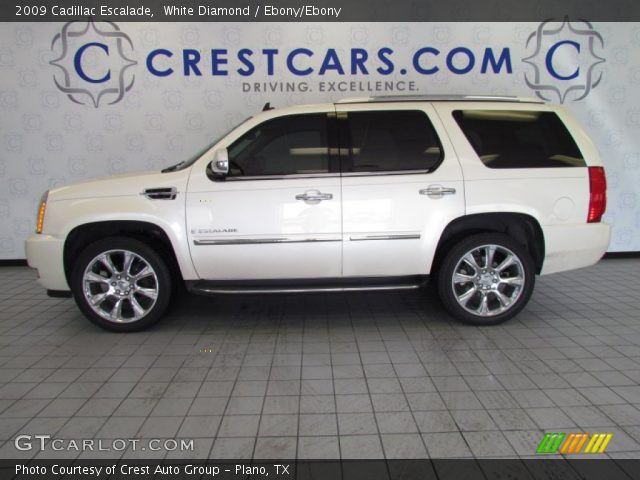 2009 Cadillac Escalade  in White Diamond