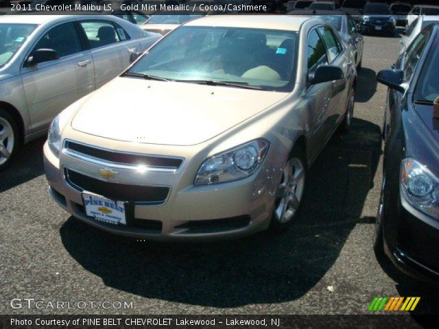2011 Chevrolet Malibu LS in Gold Mist Metallic