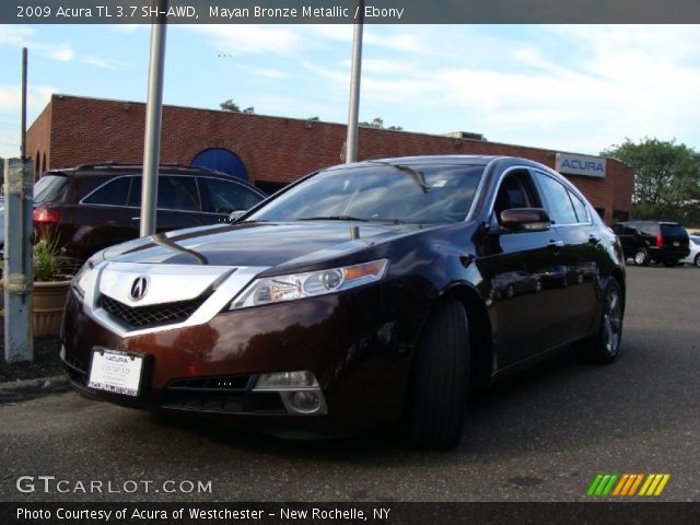 2009 Acura TL 3.7 SH-AWD in Mayan Bronze Metallic
