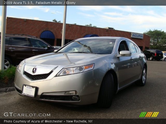 2009 Acura TL 3.5 in Palladium Metallic