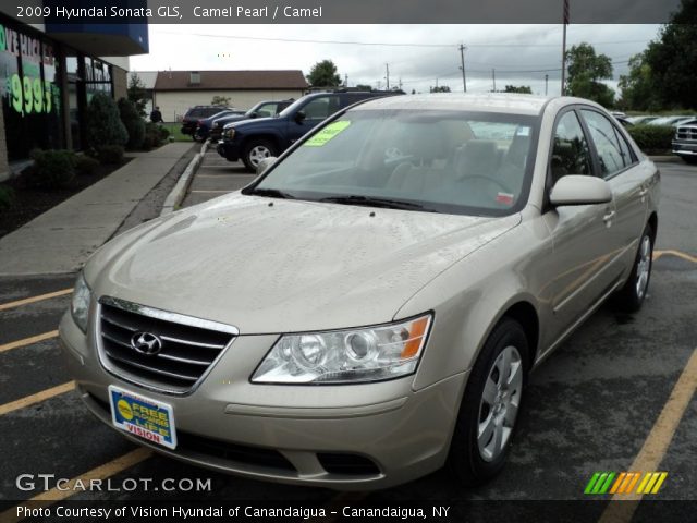 2009 Hyundai Sonata GLS in Camel Pearl