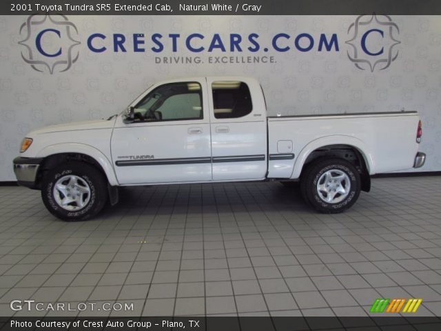 2001 Toyota Tundra SR5 Extended Cab in Natural White