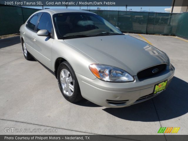 2005 Ford Taurus SEL in Gold Ash Metallic