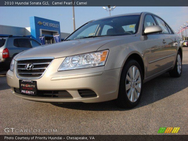 2010 Hyundai Sonata GLS in Camel Pearl
