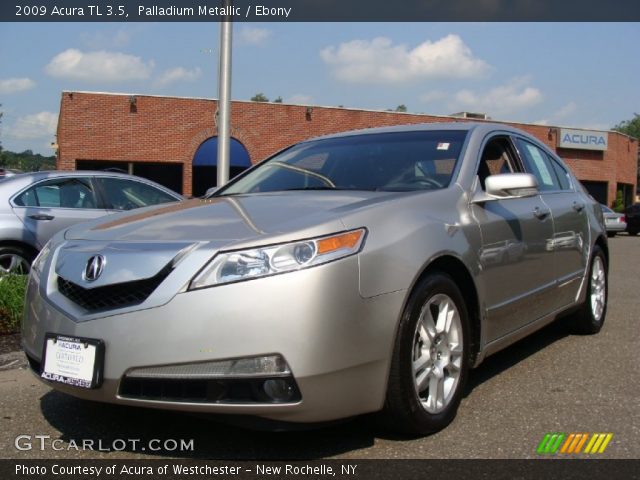 2009 Acura TL 3.5 in Palladium Metallic