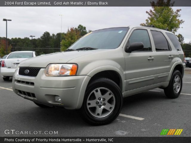 2004 Ford Escape Limited in Gold Ash Metallic
