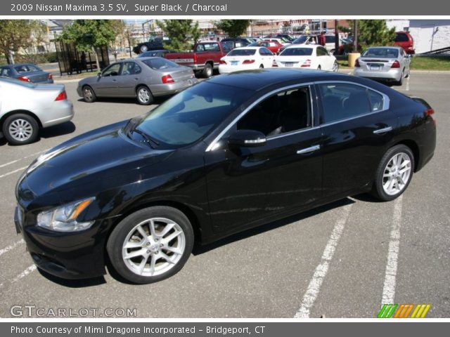 2009 Nissan Maxima 3.5 SV in Super Black