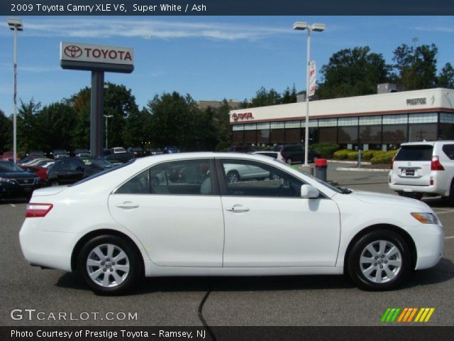 2009 Toyota Camry XLE V6 in Super White
