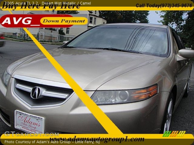 2005 Acura TL 3.2 in Desert Mist Metallic