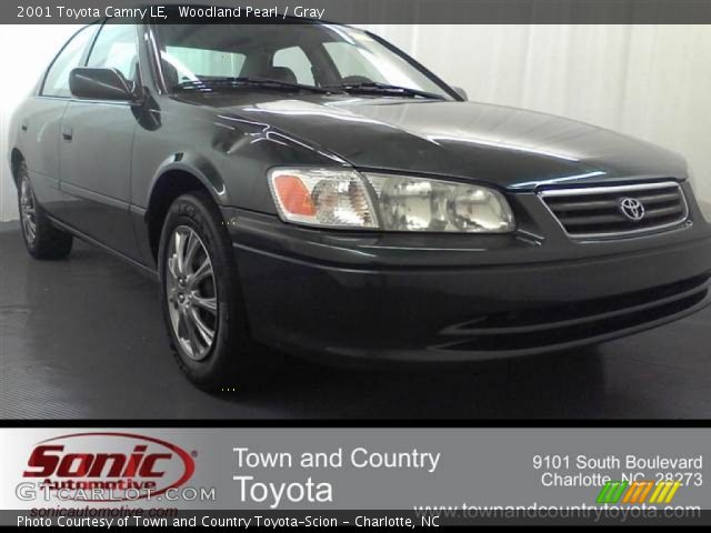 2001 Toyota Camry LE in Woodland Pearl
