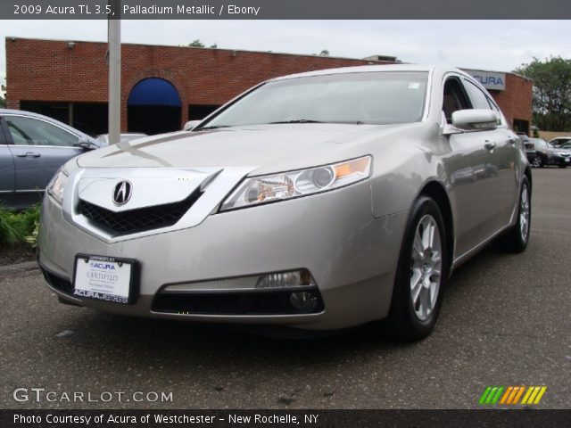 2009 Acura TL 3.5 in Palladium Metallic