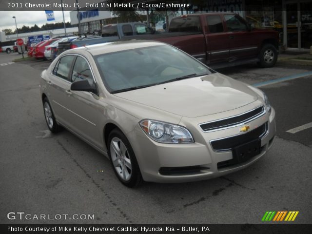 2011 Chevrolet Malibu LS in Gold Mist Metallic