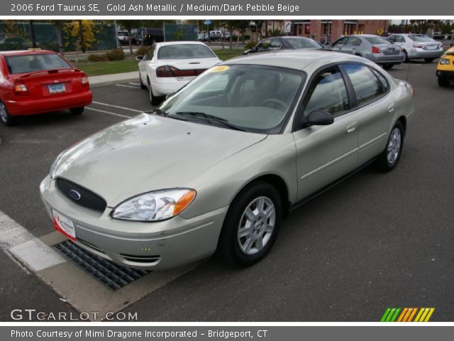 2006 Ford Taurus SE in Gold Ash Metallic