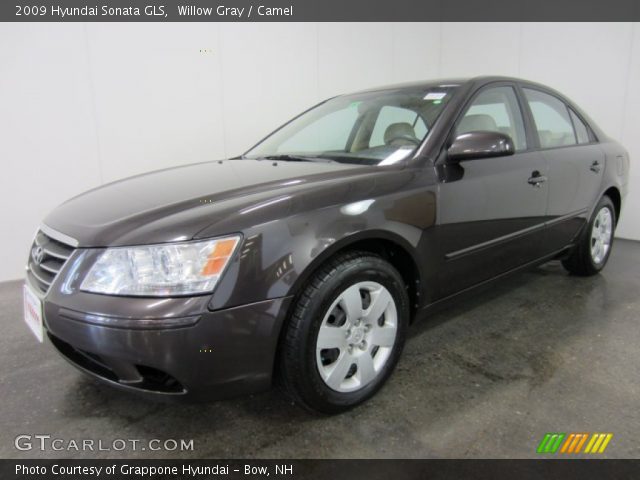2009 Hyundai Sonata GLS in Willow Gray
