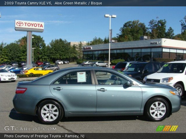 2009 Toyota Camry XLE V6 in Aloe Green Metallic