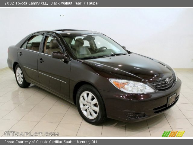 2002 Toyota Camry XLE in Black Walnut Pearl