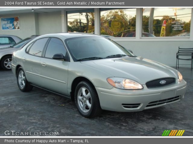 2004 Ford Taurus SE Sedan in Gold Ash Metallic
