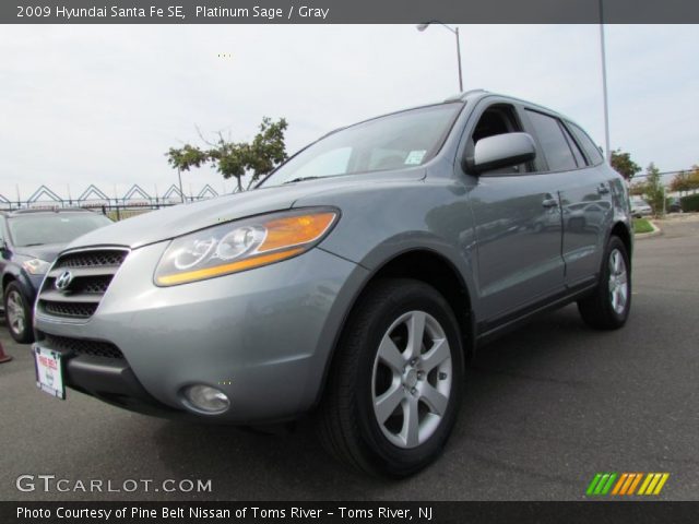 2009 Hyundai Santa Fe SE in Platinum Sage