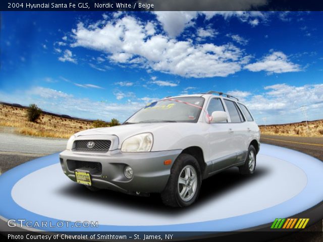 2004 Hyundai Santa Fe GLS in Nordic White