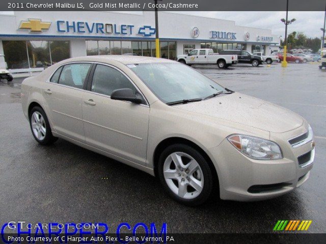 2011 Chevrolet Malibu LS in Gold Mist Metallic
