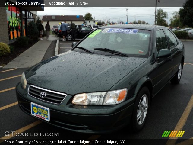 2001 Toyota Camry LE in Woodland Pearl