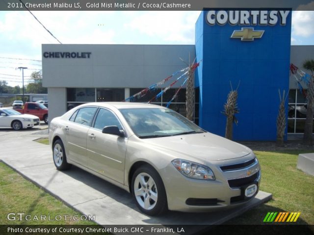 2011 Chevrolet Malibu LS in Gold Mist Metallic