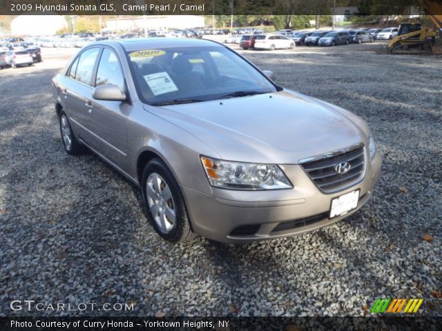 2009 Hyundai Sonata GLS in Camel Pearl