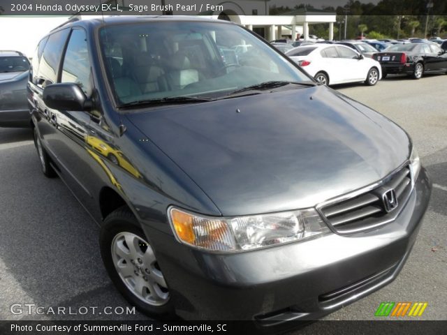 2004 Honda Odyssey EX-L in Sage Brush Pearl