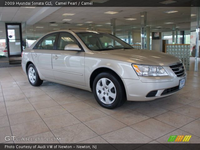 2009 Hyundai Sonata GLS in Camel Pearl