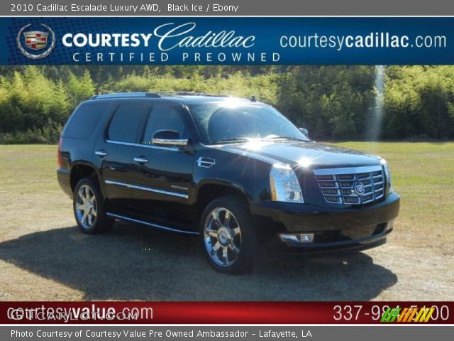 2010 Cadillac Escalade Luxury AWD in Black Ice