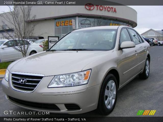 2009 Hyundai Sonata GLS in Camel Pearl