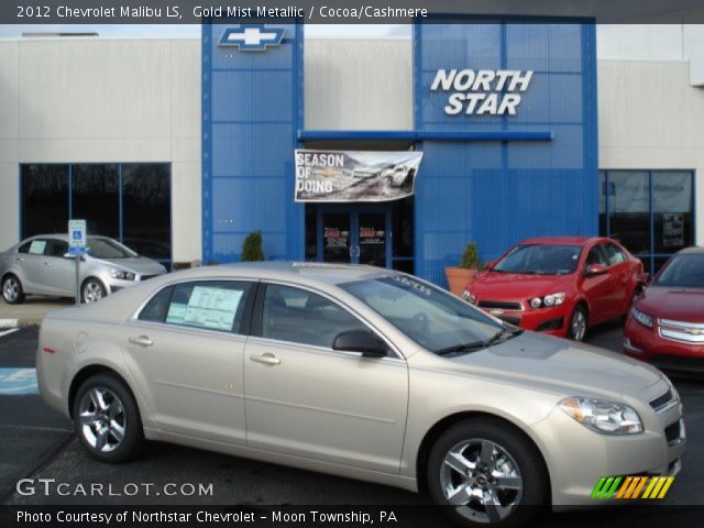 2012 Chevrolet Malibu LS in Gold Mist Metallic