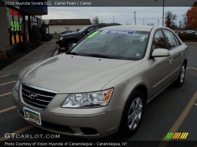 2010 Hyundai Sonata GLS in Camel Pearl
