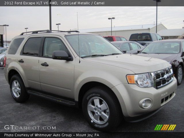 2012 Ford Escape XLT V6 4WD in Gold Leaf Metallic