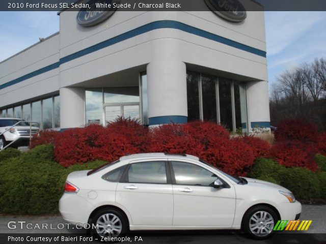 2010 Ford Focus SEL Sedan in White Suede