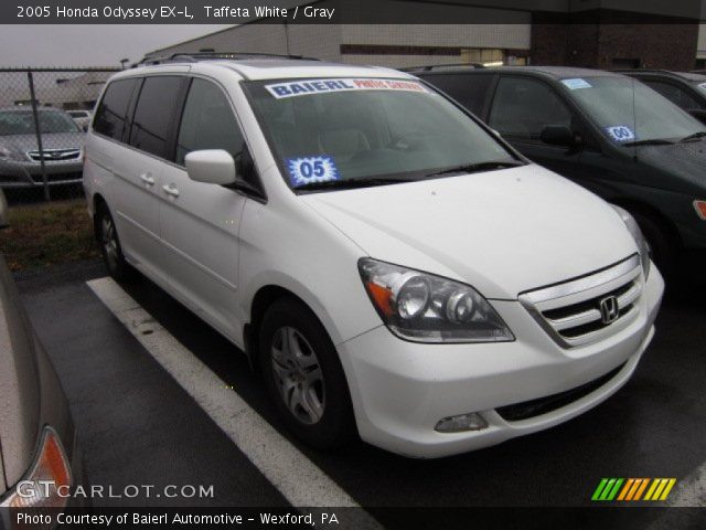 2005 Honda Odyssey EX-L in Taffeta White