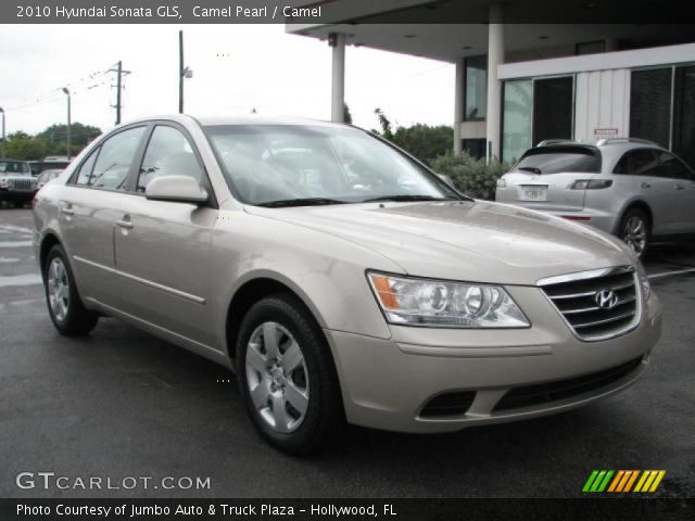 2010 Hyundai Sonata GLS in Camel Pearl