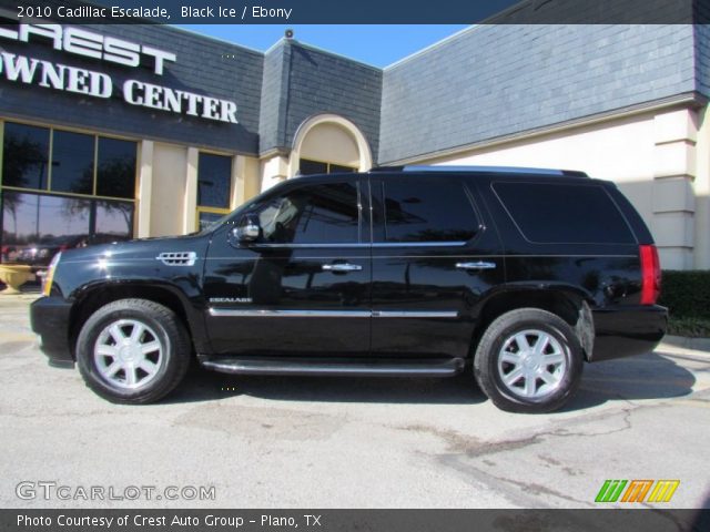 2010 Cadillac Escalade  in Black Ice