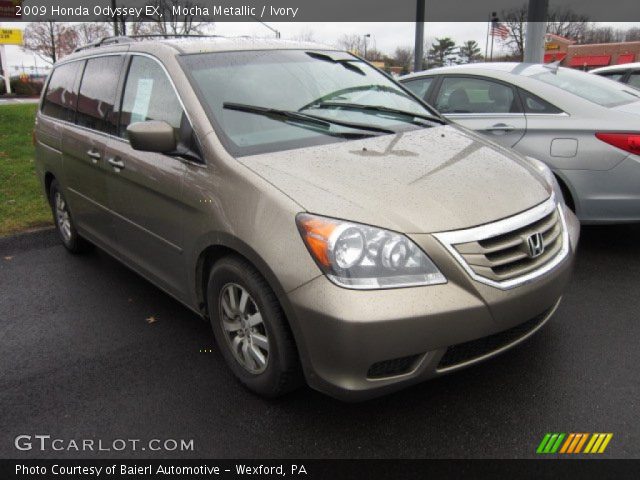 2009 Honda Odyssey EX in Mocha Metallic