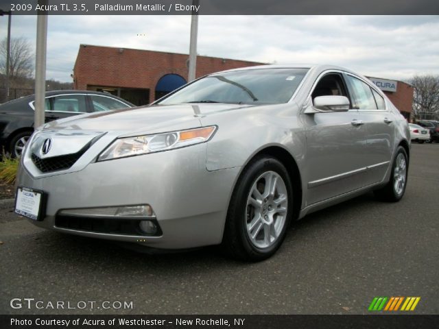 2009 Acura TL 3.5 in Palladium Metallic